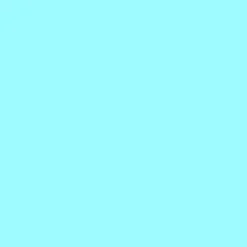 Eidon Bikini Bottom - CLOUD