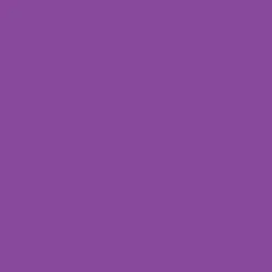 Eidon Madison D, DD, E & F Cup Top - VIOLET