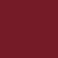 Eidon Mix Tape Short - CRANBERRY