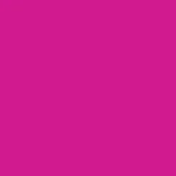 Eidon Summer Top - DRAGONFRUIT