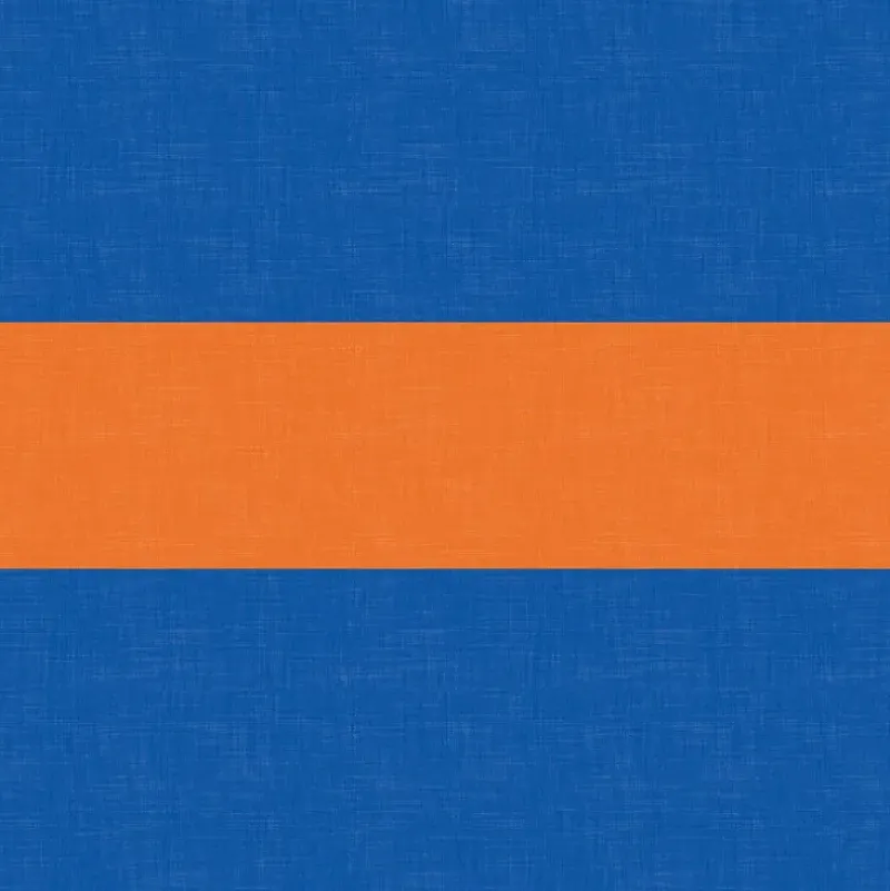 Eidon Triplex Short - BLUE/ORANGE
